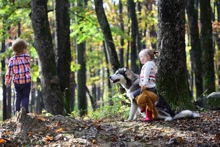 儿童和哈士奇在背景秋天森林图片