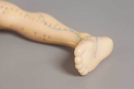 黑色背景下人腿的医学针灸模型