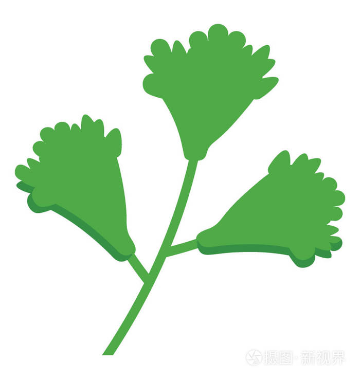 香菜茎叶草制作图标