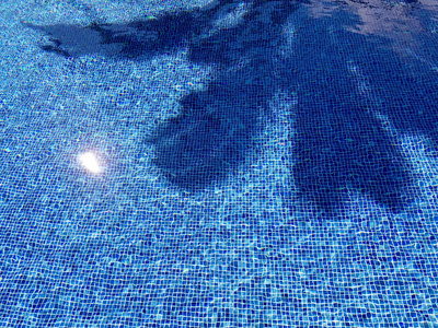 游泳池水与波纹, 折射在蓝色瓷砖, 和棕榈树阴影照片