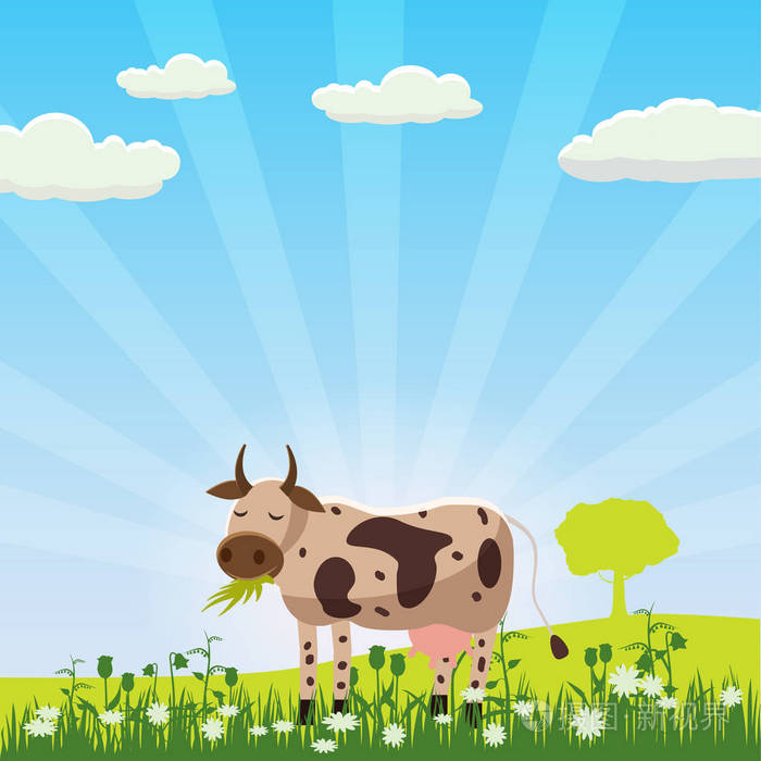 一头母牛正在吃草,在草地上吃草的景观,卡通风格,矢量图