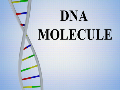 3d 在苍白 blueb 梯度下分离的双螺旋模型 Dna 分子脚本图解