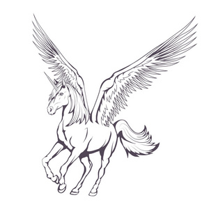 手工画的独角兽.梦幻世界.矢量图稿照片