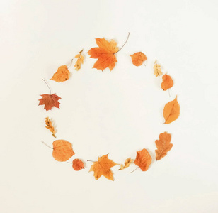 秋季作文背景。在白色背景下, 由秋天的树叶制成的框架花环图案。顶部视图。复制空间。平躺