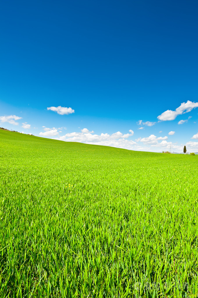 绿色草地
