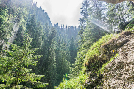 五彩缤纷的夏日日出在群山中。Tatra 国家公园, 波兰, 欧洲。美容天地