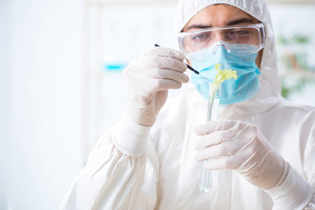 在植物实验室工作的男性生物化学家