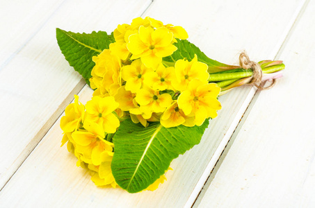 黄月见草花小花束黄樱草照片