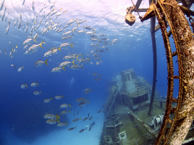 船头的沉船照片