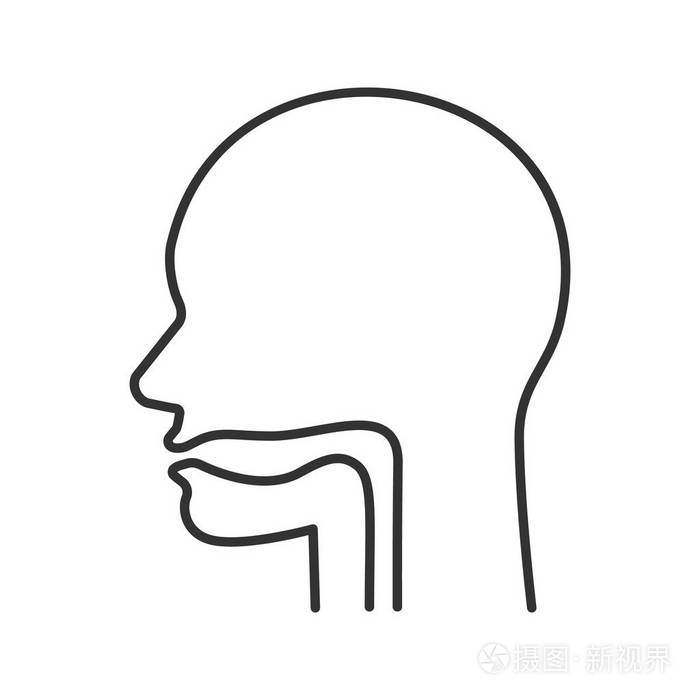 口腔咽和食管线形图标。细线插图。消化道上段。轮廓符号。矢量隔离轮廓图