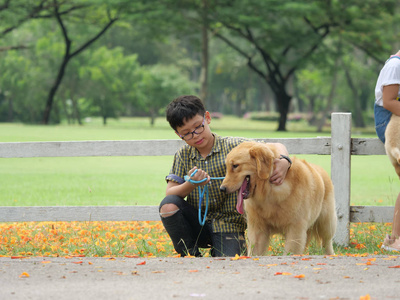 亚洲男孩玩小狗金 retreiver 公园