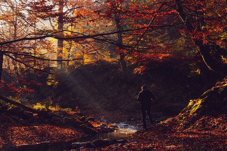 人们用温暖的 illumining 在树叶上拍摄秋天的深森林。秋天风景中的山路和小路