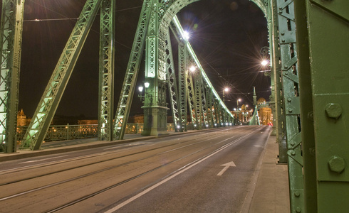 在布达佩斯 freedem 桥