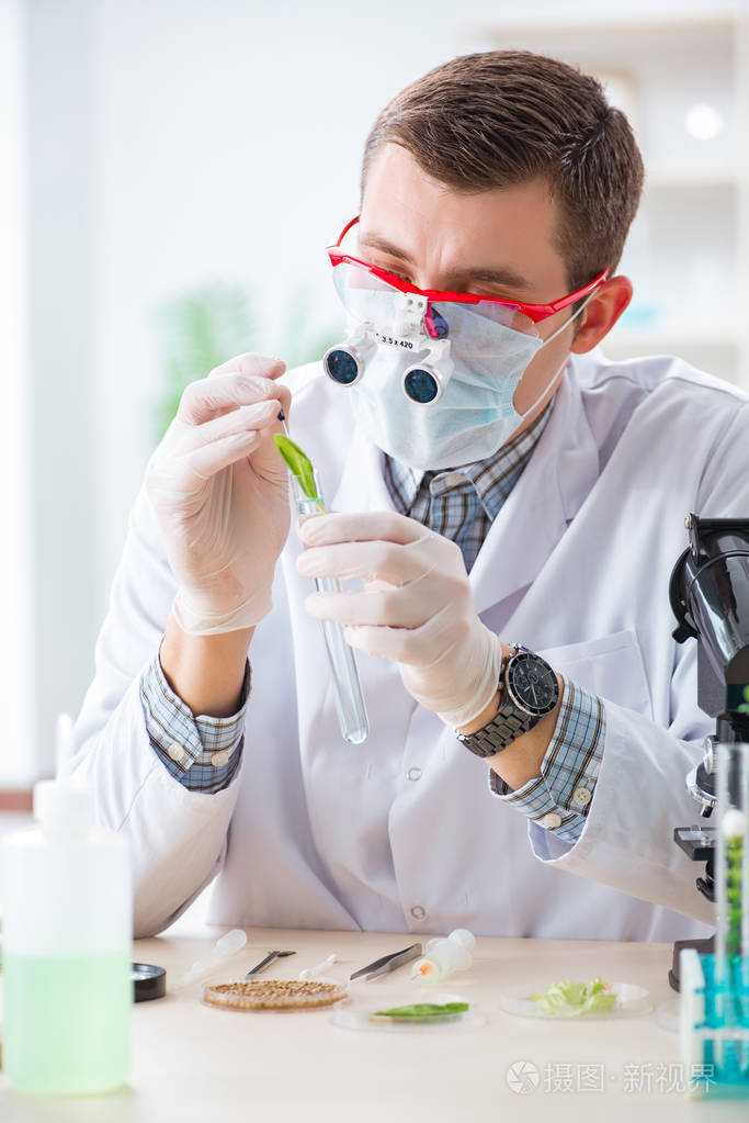 在植物实验室工作的男性生物化学家