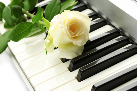 背景的合成器键盘与玫瑰