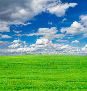 绿色的原野和蓝蓝的天空背景