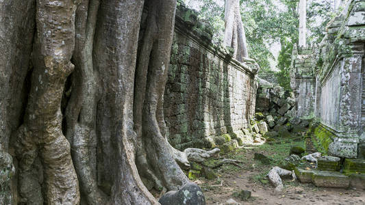 柬埔寨佛教寺院