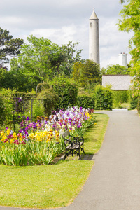 爱尔兰都柏林植物园的花卉和塔