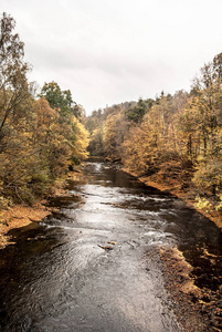 Olse 河附近的 Hradek 村与丰富多彩的秋季森林周围的捷克共和国