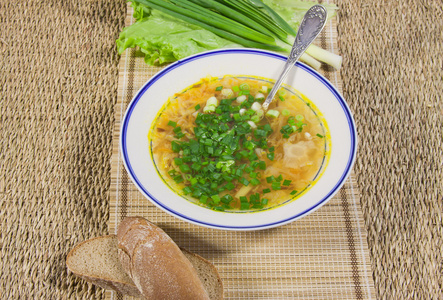 热汤与葱和黑麦面包上装饰 napki