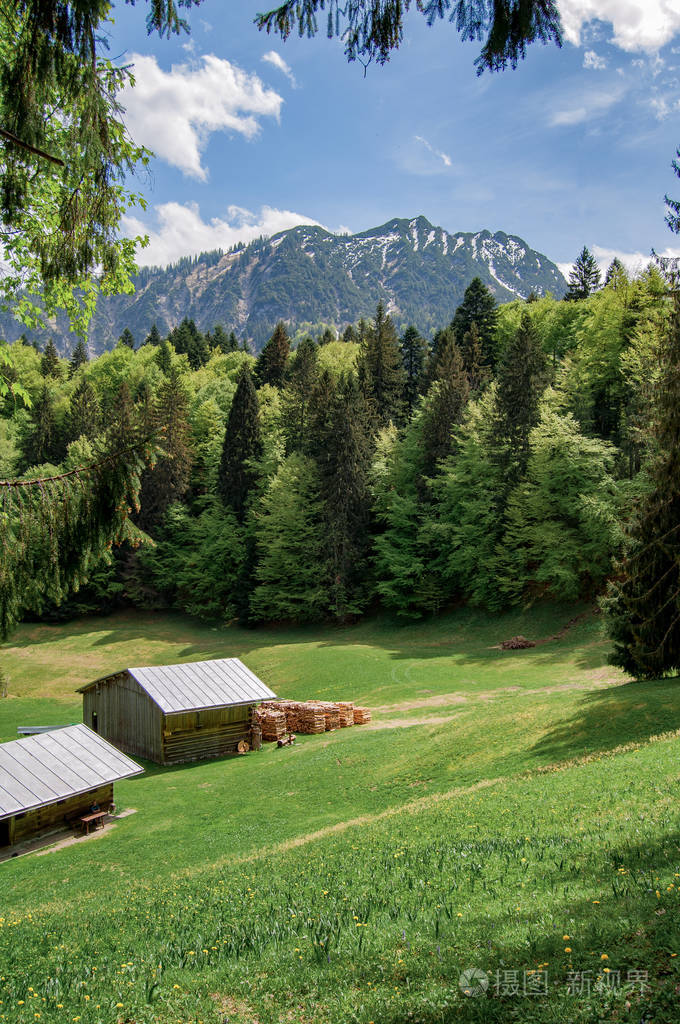 小房子在森林山在背景