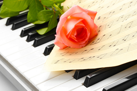 玫瑰与钢琴键盘的背景