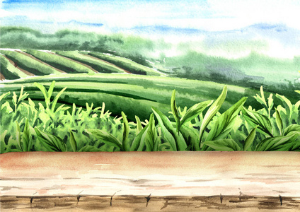 茶叶图摄影图-茶叶图图片大全-茶叶图照片-摄图新视界