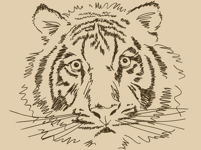 保护眼睛画图片-保护眼睛画素材-保护眼睛画插画-摄图新视界