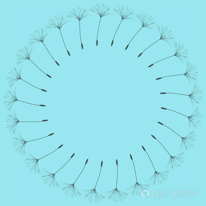 设计蒲公英的抽象框架