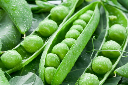 吊舱的绿豌豆用叶子绿色豌豆汤配面包和奶酪上的特写煮熟的米饭和绿