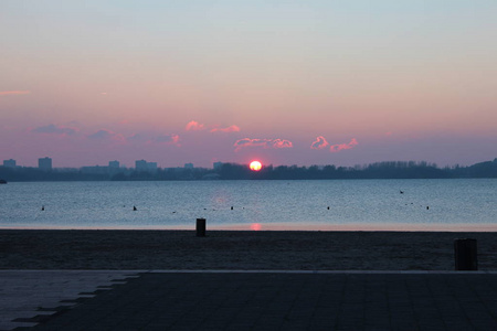 日落在湖命名 Zevenhuizer plas 与鹿特丹市中心的天际在 Nesselande 区背景