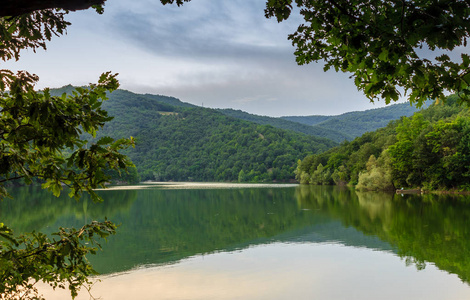 风景秀丽的山绿色湖以反射和木的分支, 塞尔维亚, 欧洲. 风景如画的场面