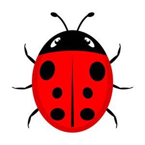 一个美丽的红色瓢虫的简单设计