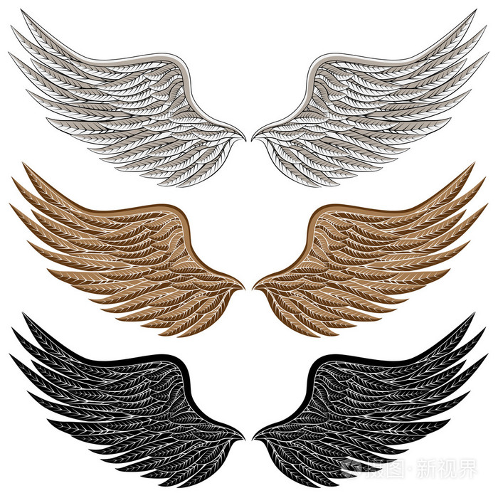 详细的鸟的翅膀插画 正版商用图片04u1bk 摄图新视界