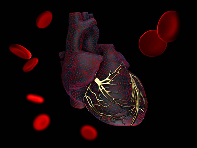 3d. 用黑色的金色静脉对人心脏解剖的图示
