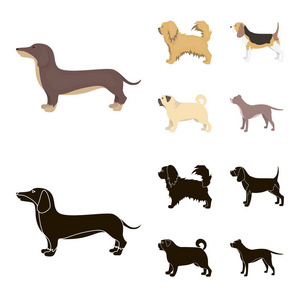 Pikinise, 腊肠, 帕格, 佩吉。狗品种集合图标在卡通, 黑色风格矢量符号股票插画网站