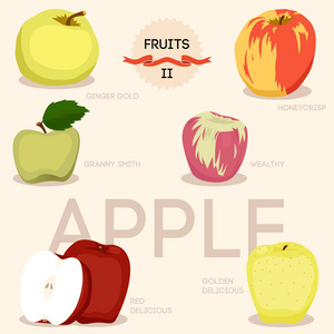 新鲜苹果水果整体和半平的图标 红色美味, honeycrisp, 史密斯奶奶, 戈尔格美味和生姜金 孤立的矢量插图