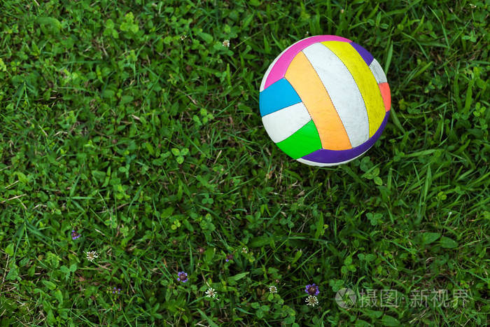 只有一个彩色排球在草地上特写视图