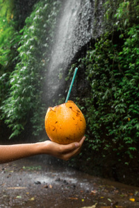 妇女拿着椰子饮料在手旁边瀑布