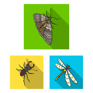 不同种类的昆虫在集合中的平面图标设计。昆虫节肢动物向量等距符号股票 web 插图