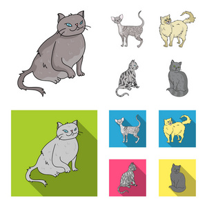 波斯, 康沃尔雷克斯和其他物种。猫品种集合图标在卡通, 平面式矢量符号股票插画网站
