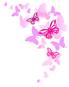 婚礼邀请卡与一套粉红色的飞蝴蝶孤立在白色背景, 矢量, 插图