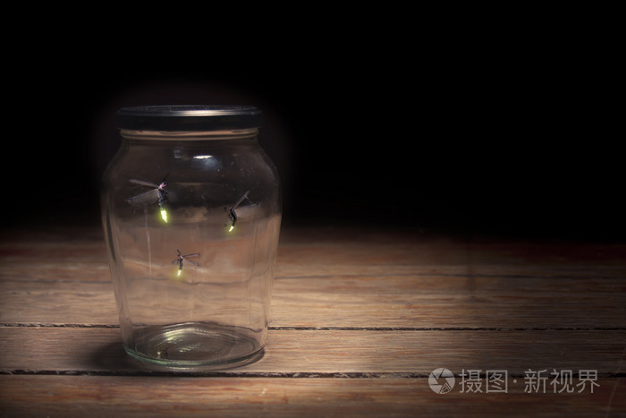 在罐子里的萤火虫