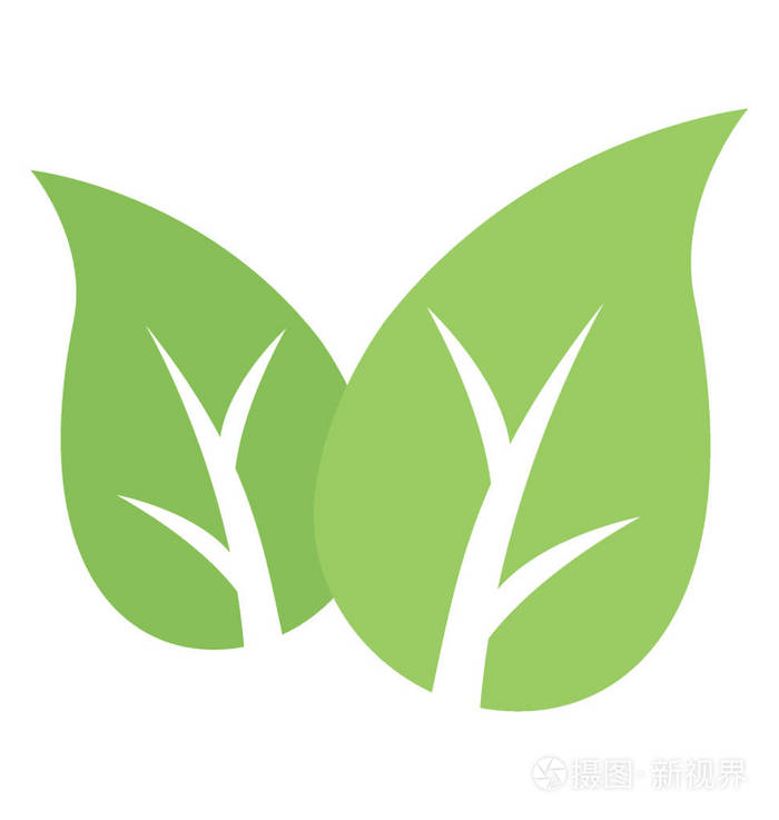 喇叭像两片叶子连接在一起使生态叶结构