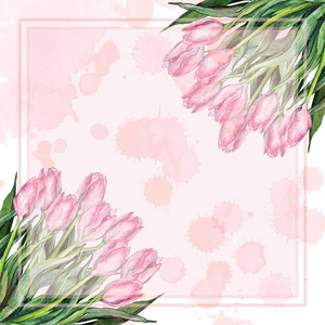 水彩粉红色郁金香花束组合自然点框边框示例模板背景