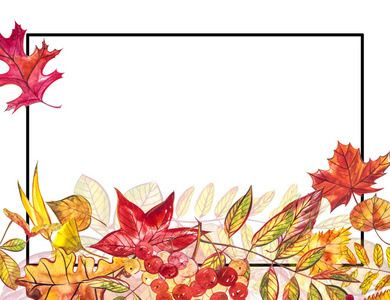 秋季模板背景。季节性插图. 网页横幅模板. 水彩插图