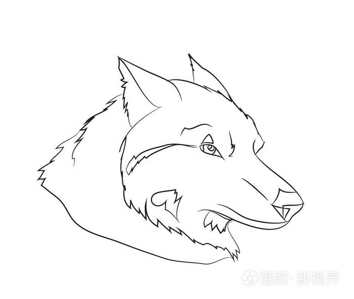 狼肖像, 线, 媒介, 白色背景插画-正版商用图片04uyce-摄图新视界