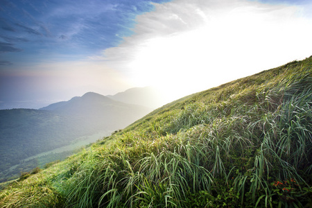 美丽的风景