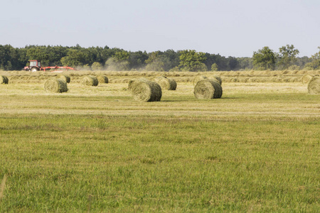 拖拉机在距离收集干草。田里有干草卷。夏日