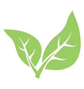 两个共同的叶子放在一起作为两个组成部分, 以显示二叶概念照片